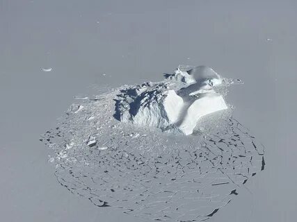 The sea ice