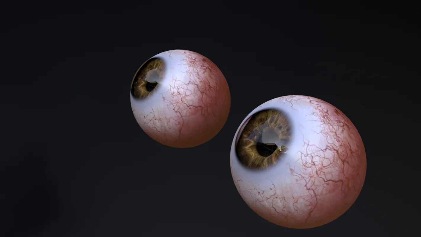 Eye 3d model