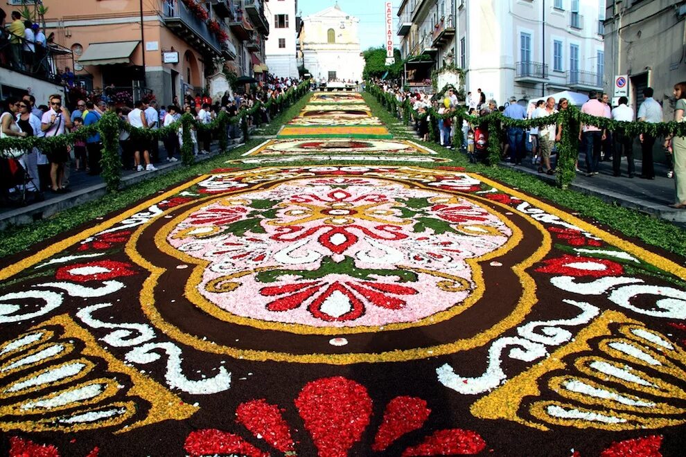 Фестиваль "цветочный ковер" (flower carpet), брюссель, бельгия. Мастер класс ковер рассвет. Ковер из живых цветов. Ковер из цветов. Фестиваль цветов в италии инфиората.