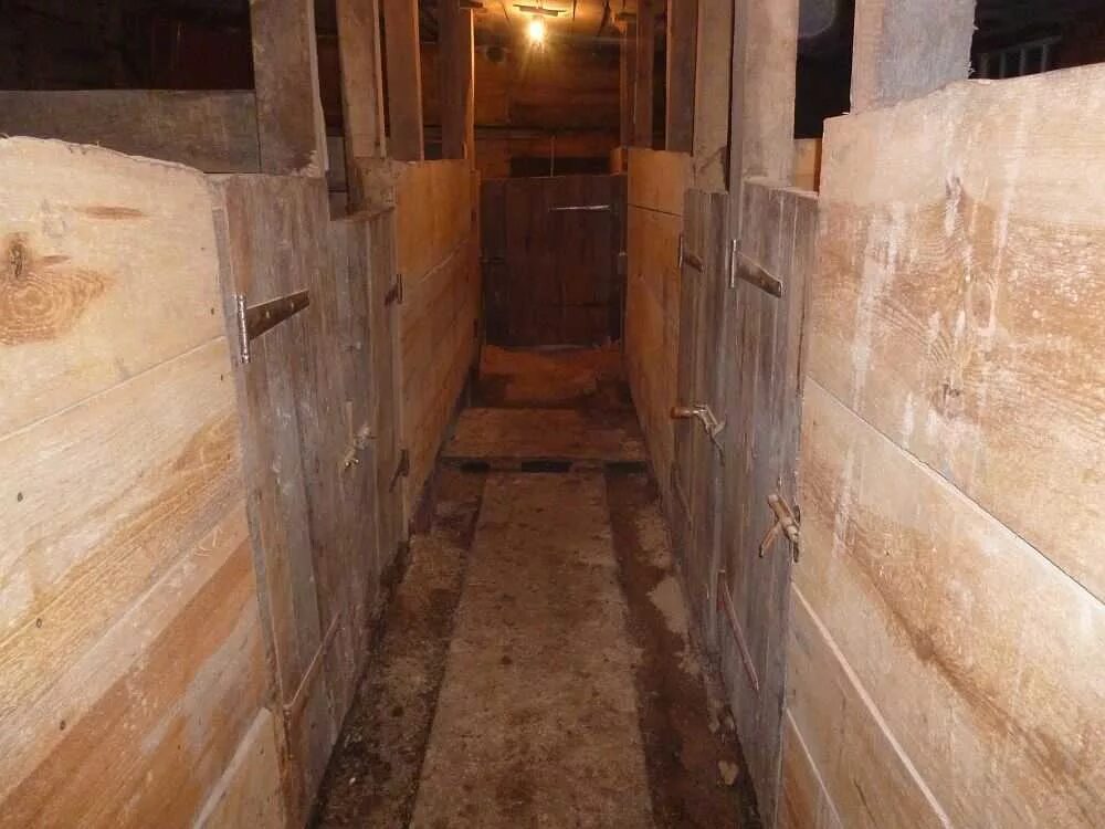 Загон для поросят. Свинарник своими руками. Свинарник своими руками. Перегородка для свиней в сарае. Постройка свинарника.