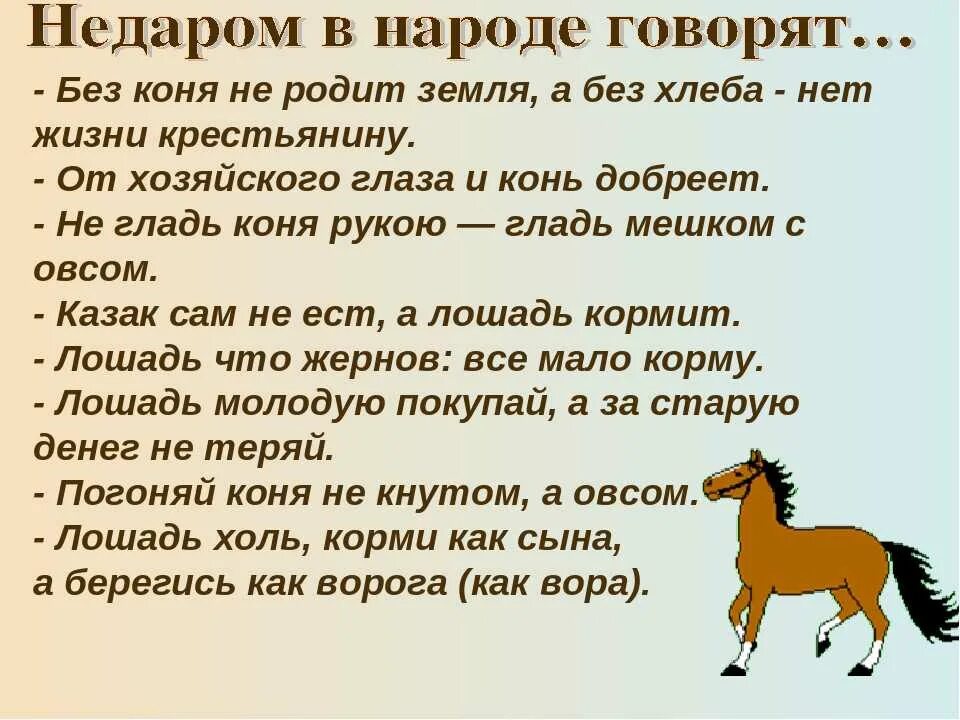 Пословицы о лошадях и конях. Поговорки про коня. Пословицы и поговорки о лошадях. Пословицы про лошадей.