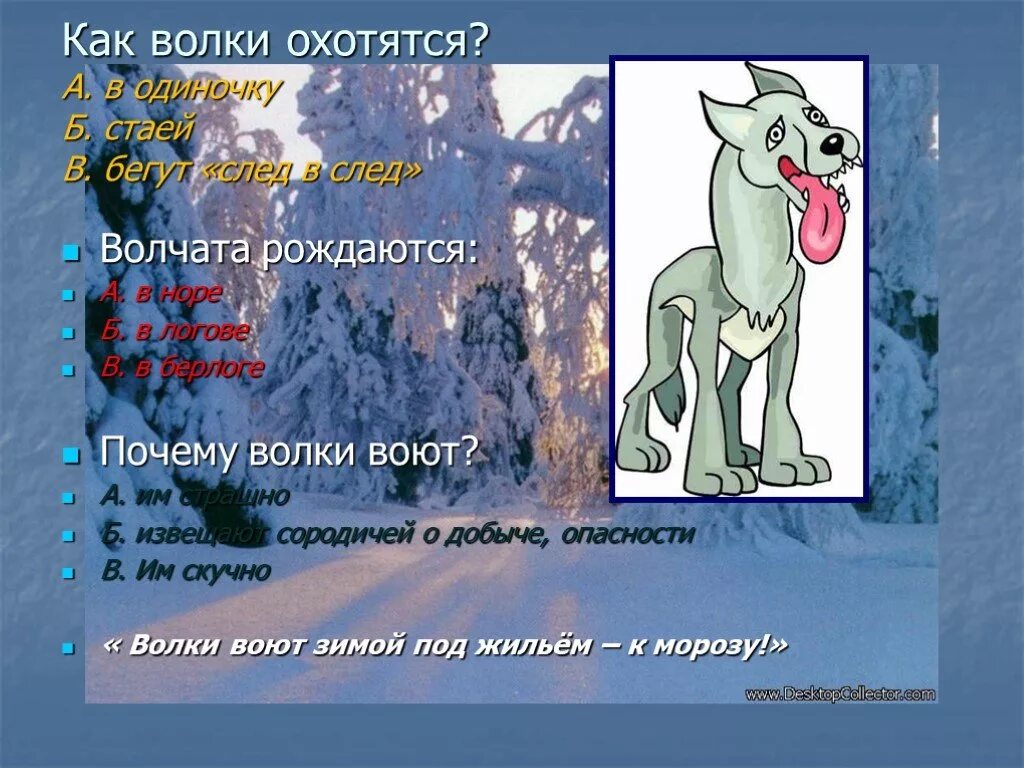 Почему выл