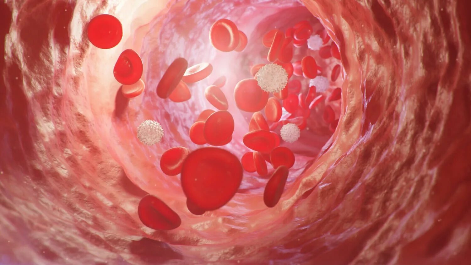 Large Blood Clot In Chicken Egg Shop glomart.kz