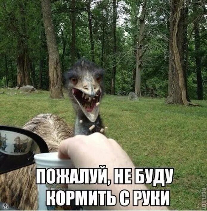 Анекдоты в картинках. Смешно остроумно. Смешно остроумно. Смешные шутки. Смешно остроумно.