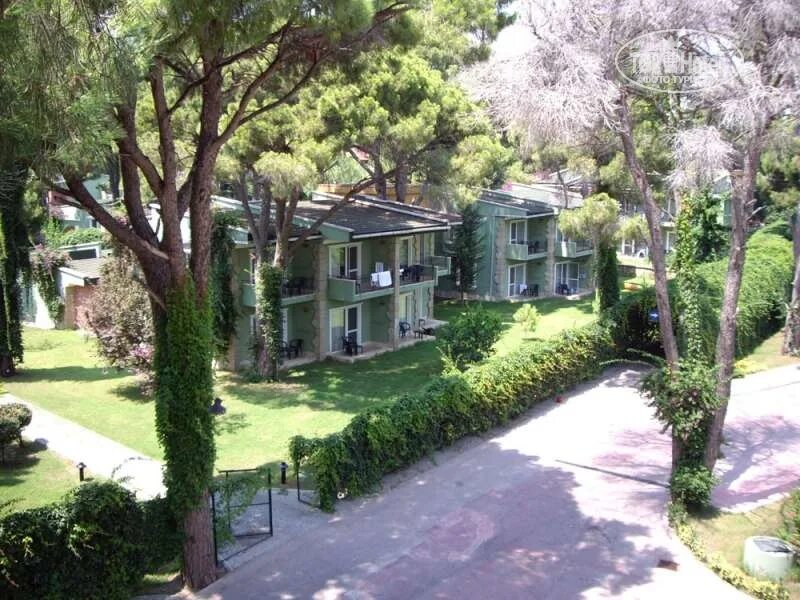 Пайн бич резорт. Белек pine beach. пайн бич белек бунгало. pine beach belek (ex. maritim pine beach resort) 5*. павильоны в pine beach.