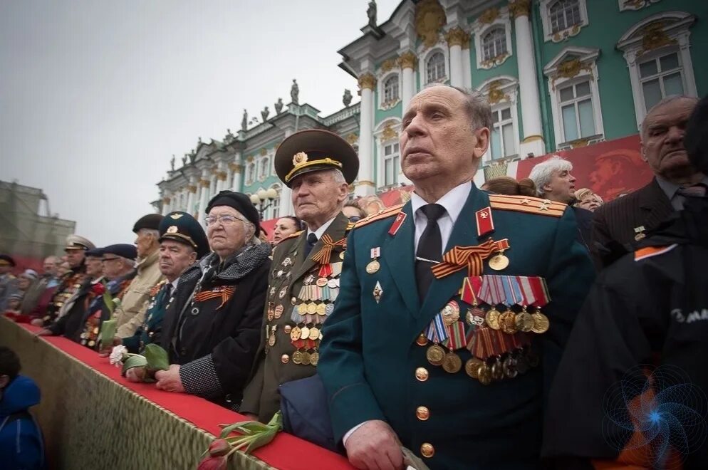 Сколько ветеранов в спб