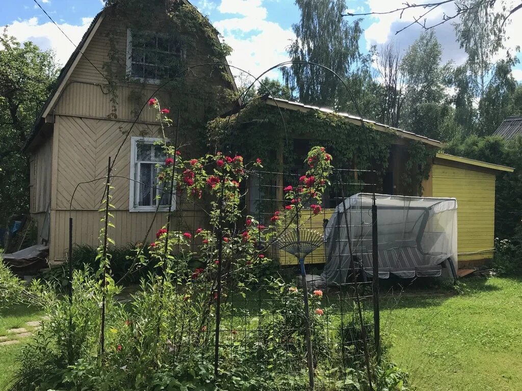 Аникеевка СНТ Дружба. СНТ Аникеевка Красногорский район. СНТ Дружба малых Вяземах. Красногорск, СНТ Дружба-1. Купить дом снт красногорское