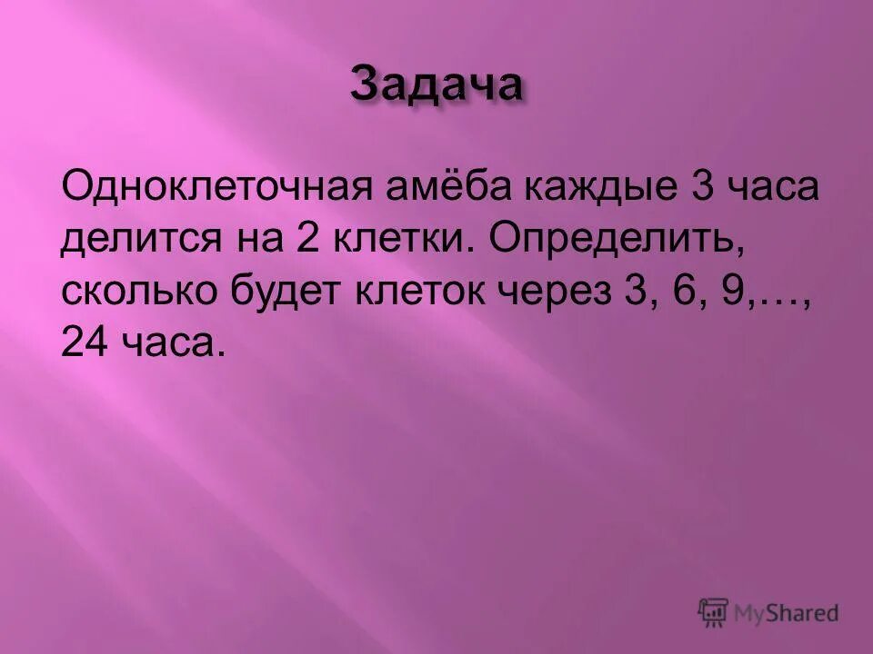 24 часа делятся на. Одноклеточная амеба каждые 3 часа делится на 2 клетки. Одноклеточная амеба каждые три часа делится. Клеточная амеба каждые 3 часа делится на 2 клетки. Одноклеточная амеба каждые три часа делится на 2.