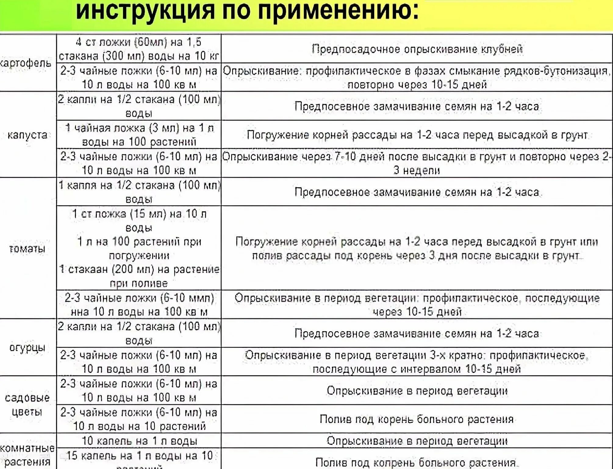 Замачивание семян томатов в фитоспорине