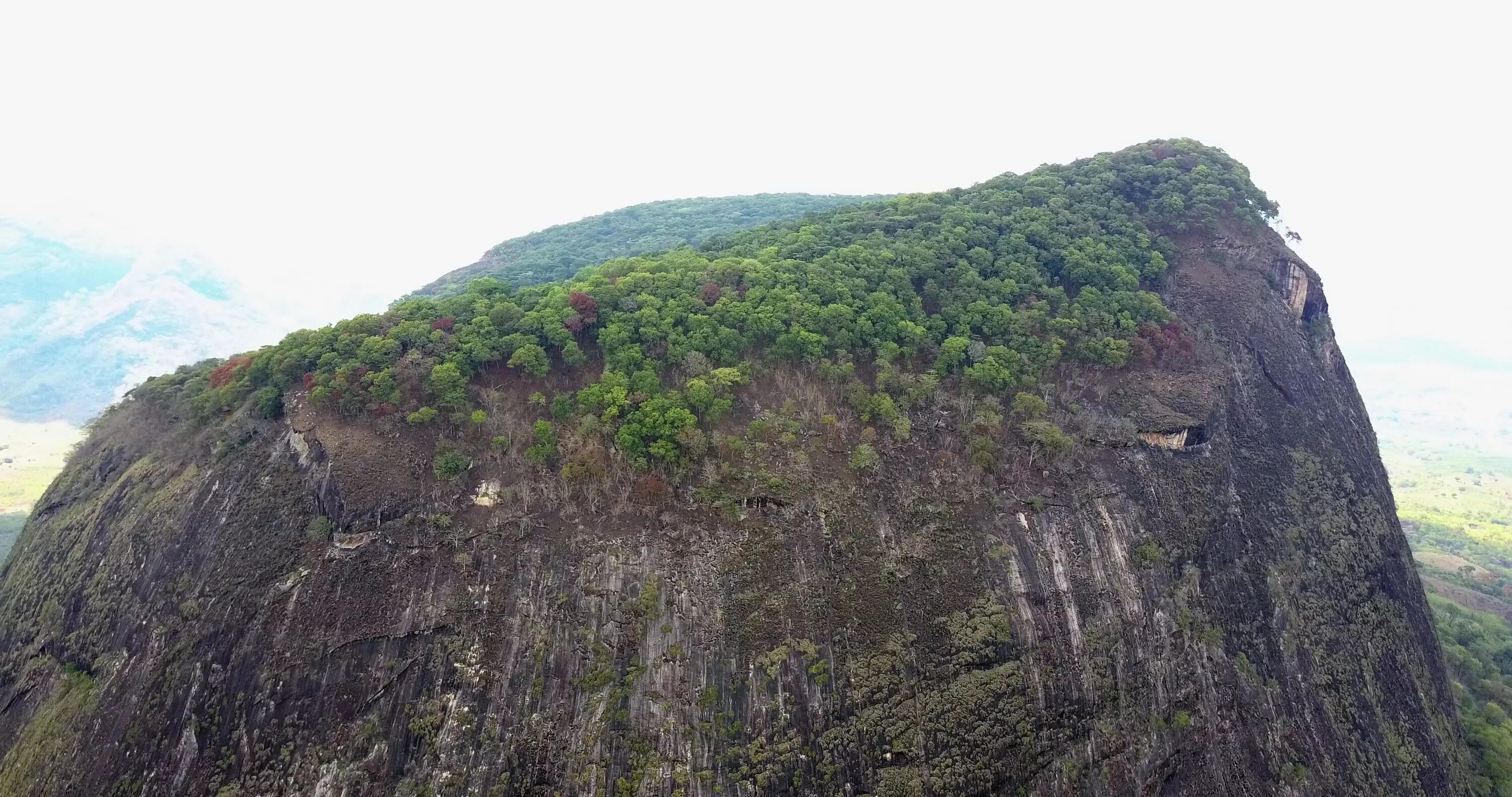 мабу гора в мозамбике. гора лико мозамбик. затерянный мир на горе лико. затерянный мир гора лико. мозамбик природа.