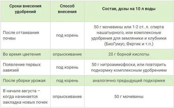 Можно ли подкармливать клубнику мочевиной. Таблица внесения удобрений для клубники. Схема подкормки клубники. Схема внесения удобрений для клубники. Подкормка земляники весной схема.