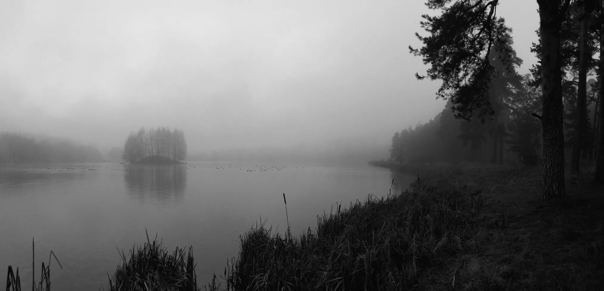 А где там далеко за туманами песня. Море в тумане. Там за туманами. Там за туманами фото. Картинка там за туманами.