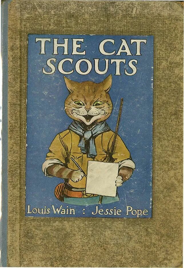 The cat is the books