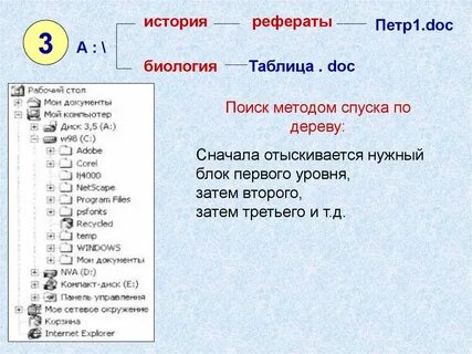 Поиск докладов