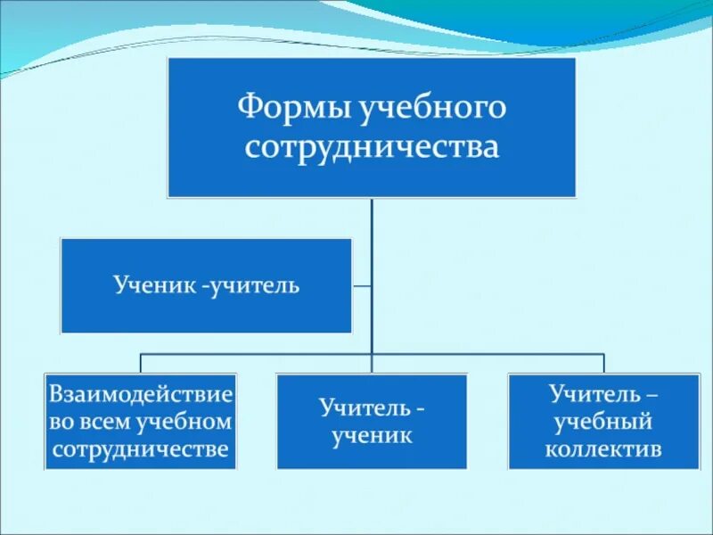 Форма учебного сотрудничества