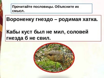 Капалуха читать 3 класс