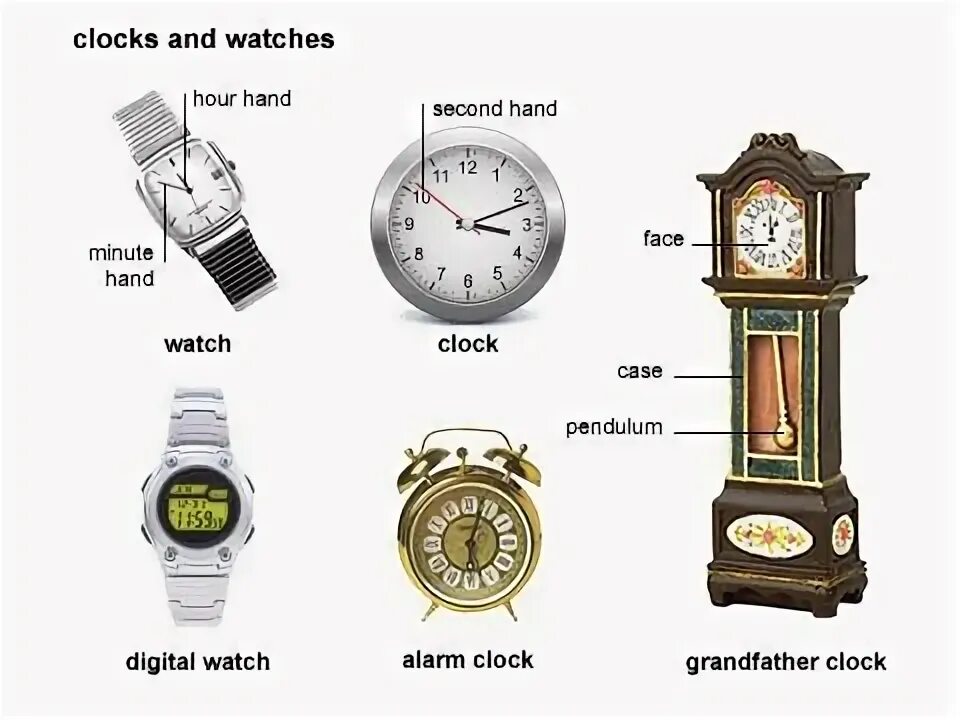 Часы на английском. Виды часов на английском языке. Названия частей часов на английском. Разновидности часов. Английский цены часов