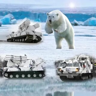 Арктический воин фифа