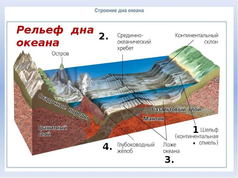 Срез география. Схема строения дна мирового океана. Рельеф дна мирового океана 7 класс география. Схема рельефа океанического дна. Строение дна мирового океана 6 класс география.