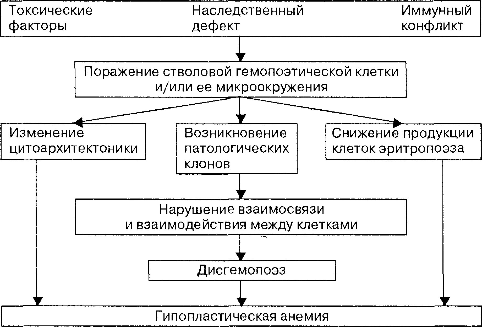 Факторы развития анемий. Апластические анемии патогенез. Гипопластическая анемия патогенез. Апластическая анемия патогенез патофизиология. Апластическая анемия механизм развития.