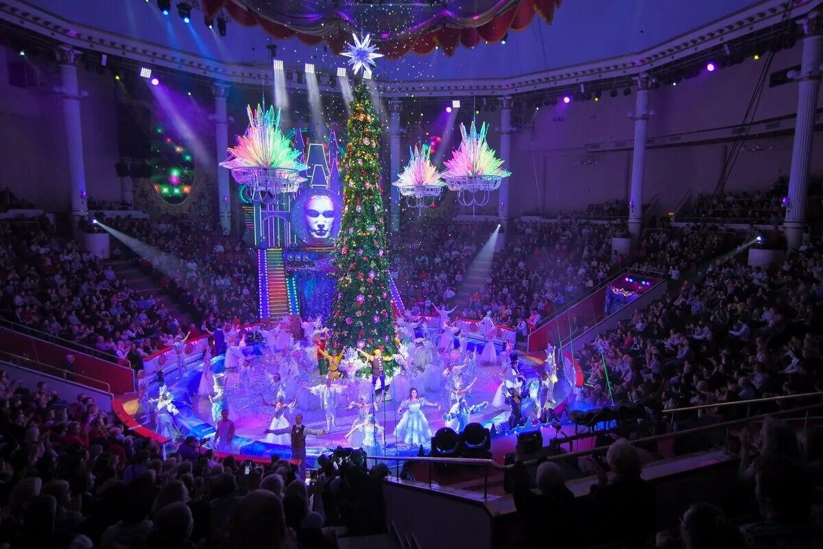 сколько длится новогоднее представление в цирке. сколько длится новогоднее представление в цирке. новогодний цирк. брянск цирк 2022. самарский цирк новогоднее представление.