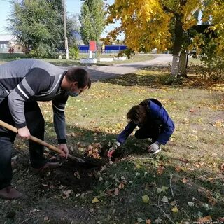 Экологический субботник в школе