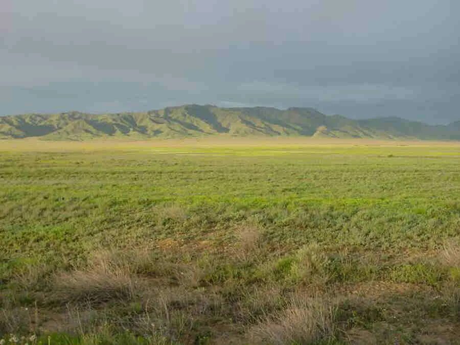 Великая степь казахстана. Зона степей в евразии. Степи евразии. Осадки в степи. Степи казахстана.