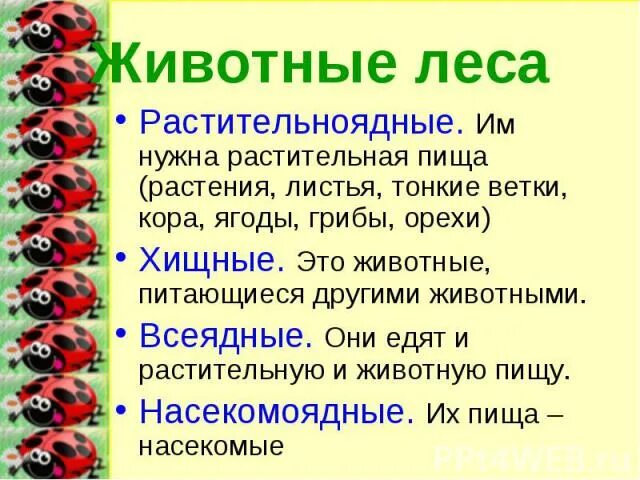 Как животные питаются 3 класс окружающий. Змеи всеядные или нет. Имя город растения животное еда одежда баллы.