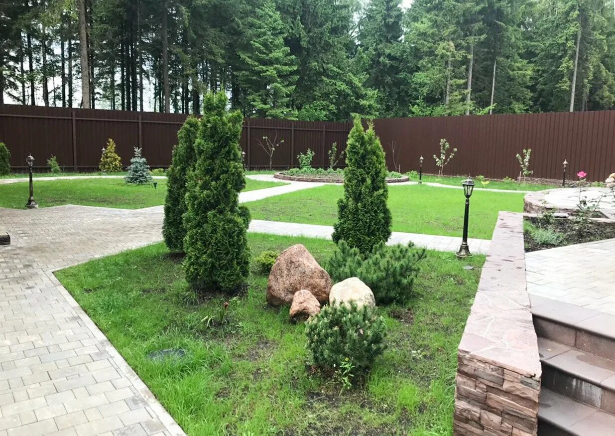 Хвойно Лиственная Живая изгородь. Туя в рокарии. Лесопарковый ландшафт макроландшафт. Ландшафт участка с соснами.