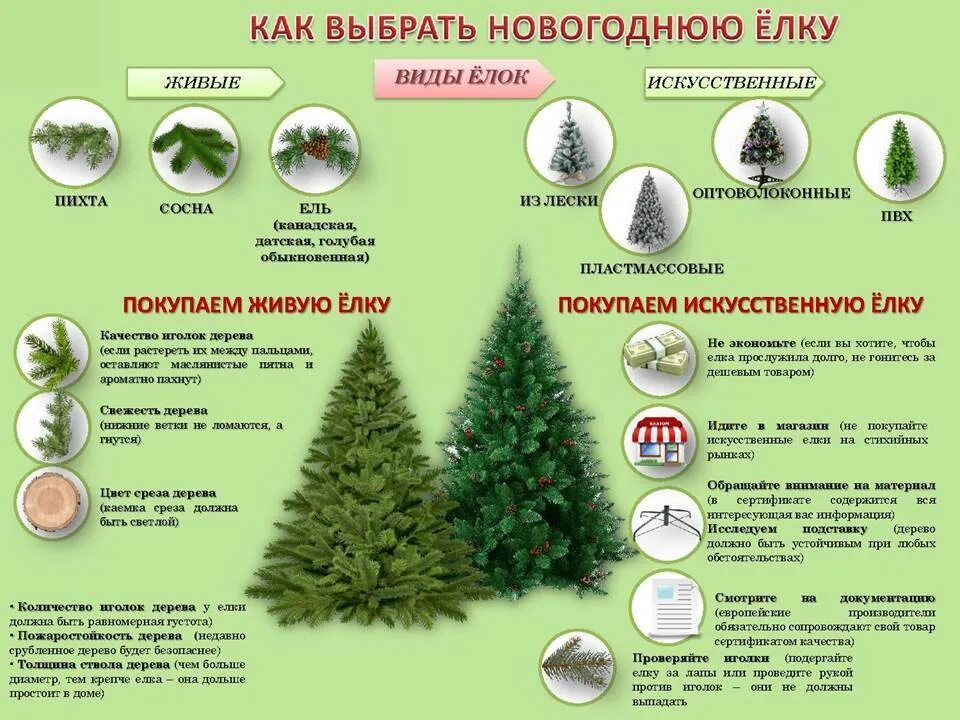 Какую елку ставить. Как выбрать новогоднюю елку. как выбрать искусственную елку. елка искусственная как выбрать хороший. искусственная елка инфографика.