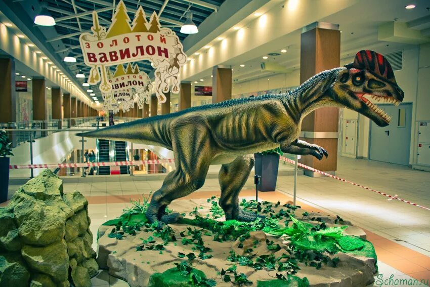 Золотой динозавр. ТЦ золотой Вавилон Москва динозавры. Динозавры в торговом центре. Выставка динозавров.