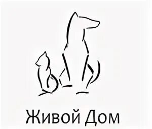Живой красноярск
