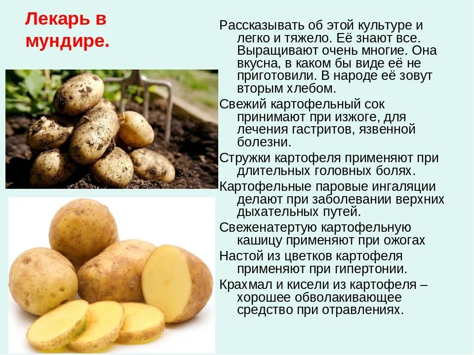 Есть ли вода в картошке. Что полезного в картошке. Полезные вещества в картошке. Картофель полезен для организма. Чем полезна картошка для организма.