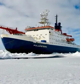 Polar star