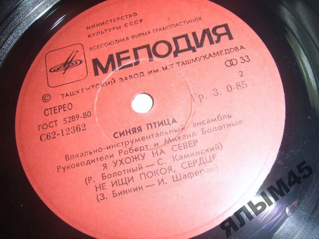 Синяя птица виа прощай прощай. Синяя птица - 1977 - мамина пластинка. здравствуй и прощай синяя птица. здравствуй и прощай синяя птица альбом. виа синяя птица болотного.