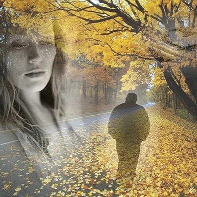 Рояль романтика. Сияла ночь фет. И много лет томительных и скучных. Ожидание картинки. Осень ноябрь воспоминание.