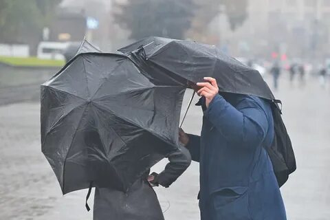 Погодные условия дожди