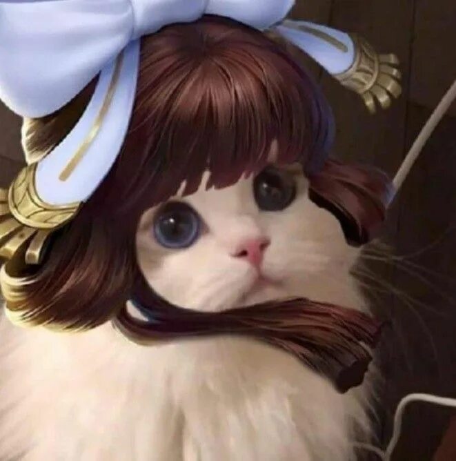 Cat edits. Коты mlbb. коты герои млбб. mlbb cat edit. котик млбб арлот.