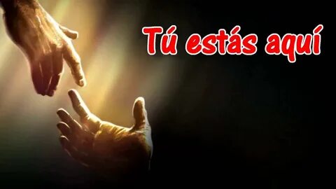Tu estas
