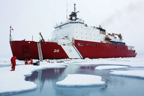 Polar star