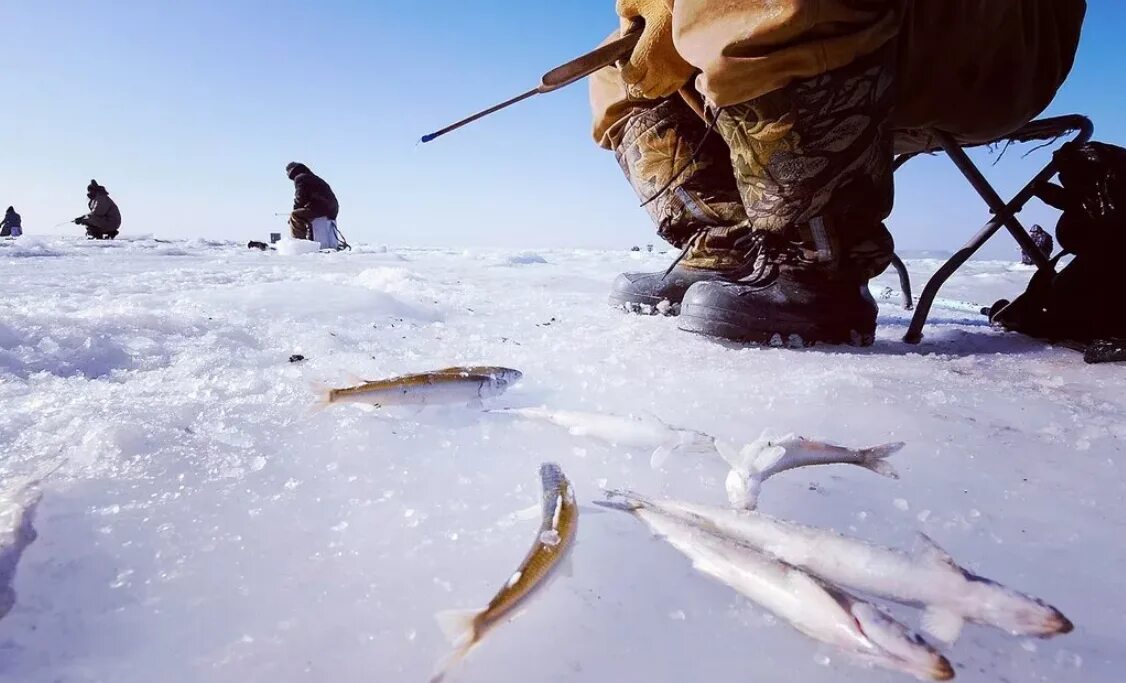 Где зимой ловят рыбу. Зимняя рыбалка. Подледная рыбалка. Рыбак зимой. Подледный лов рыбы.