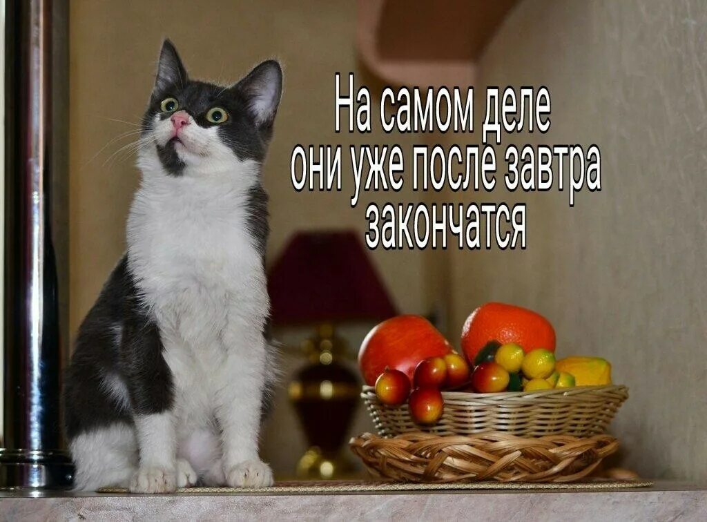 3 дня выходных