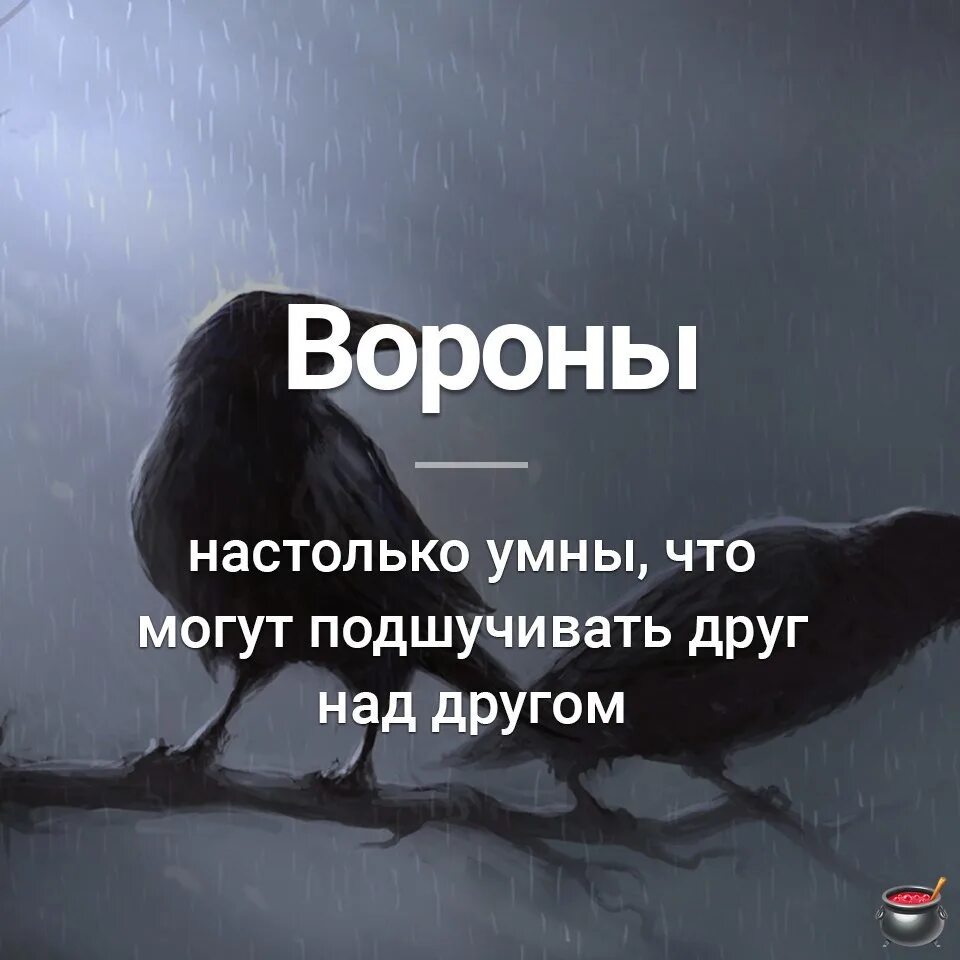 Темно глупый