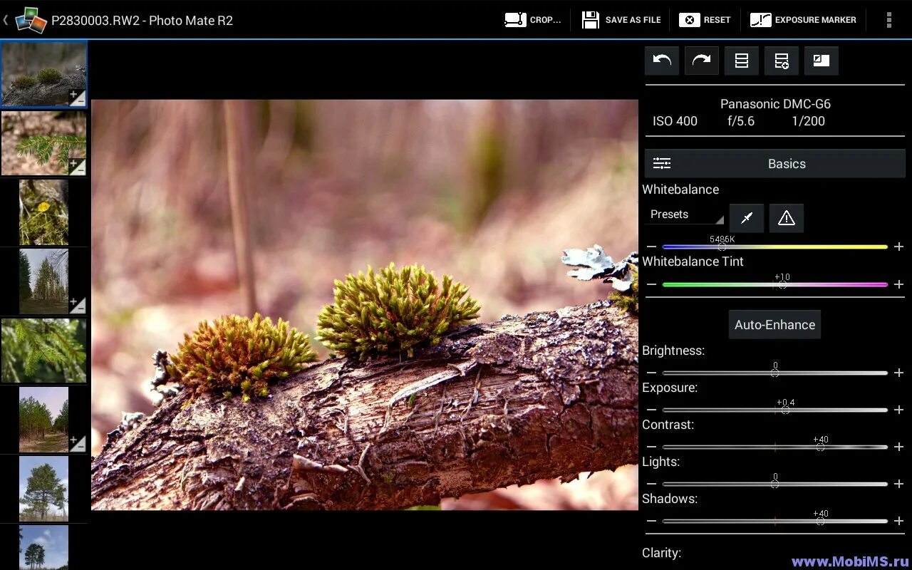 резкость изображения. проги для обработки фотографий. приложение для размытия фото. приложение для резкости. программа для четкости фотографий.