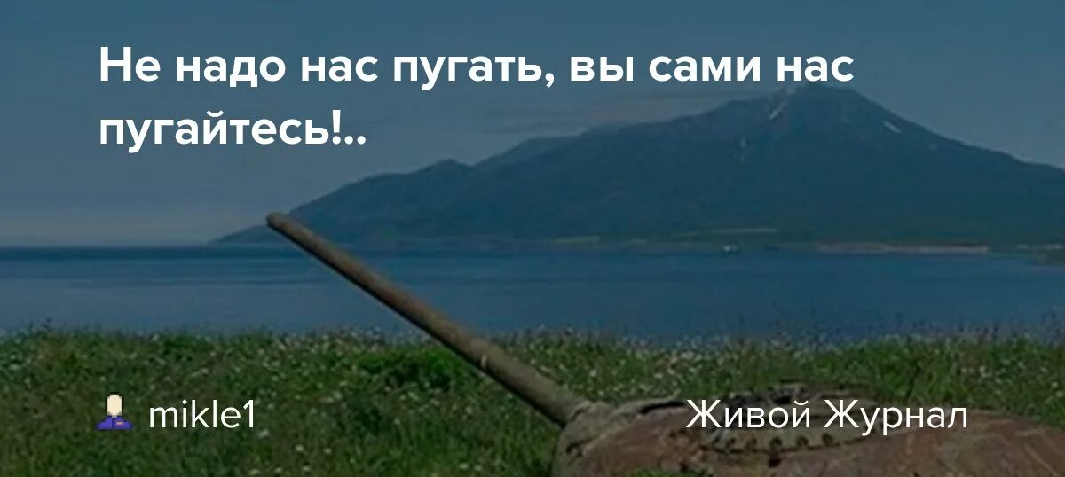 Не надо нас пугать. Смешные коты с надписями. Не надо злить нас бойцовский клуб. Нифига себе кот. Не надо нас пугать.