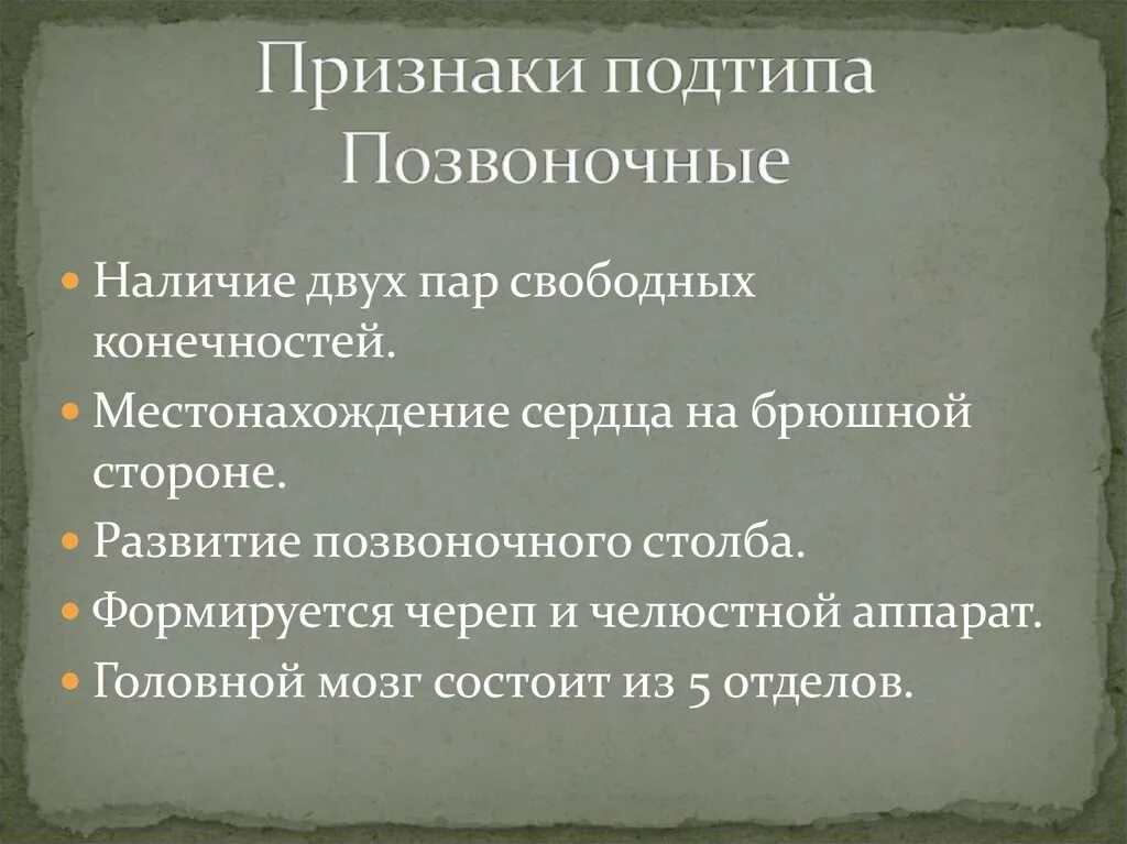 Признаки человека биология 8 класс. Подтип позвоночные признаки. Признаки подтипа позвоночных. Подтип позвоночные признаки человека. Характерные особенности позвоночных.