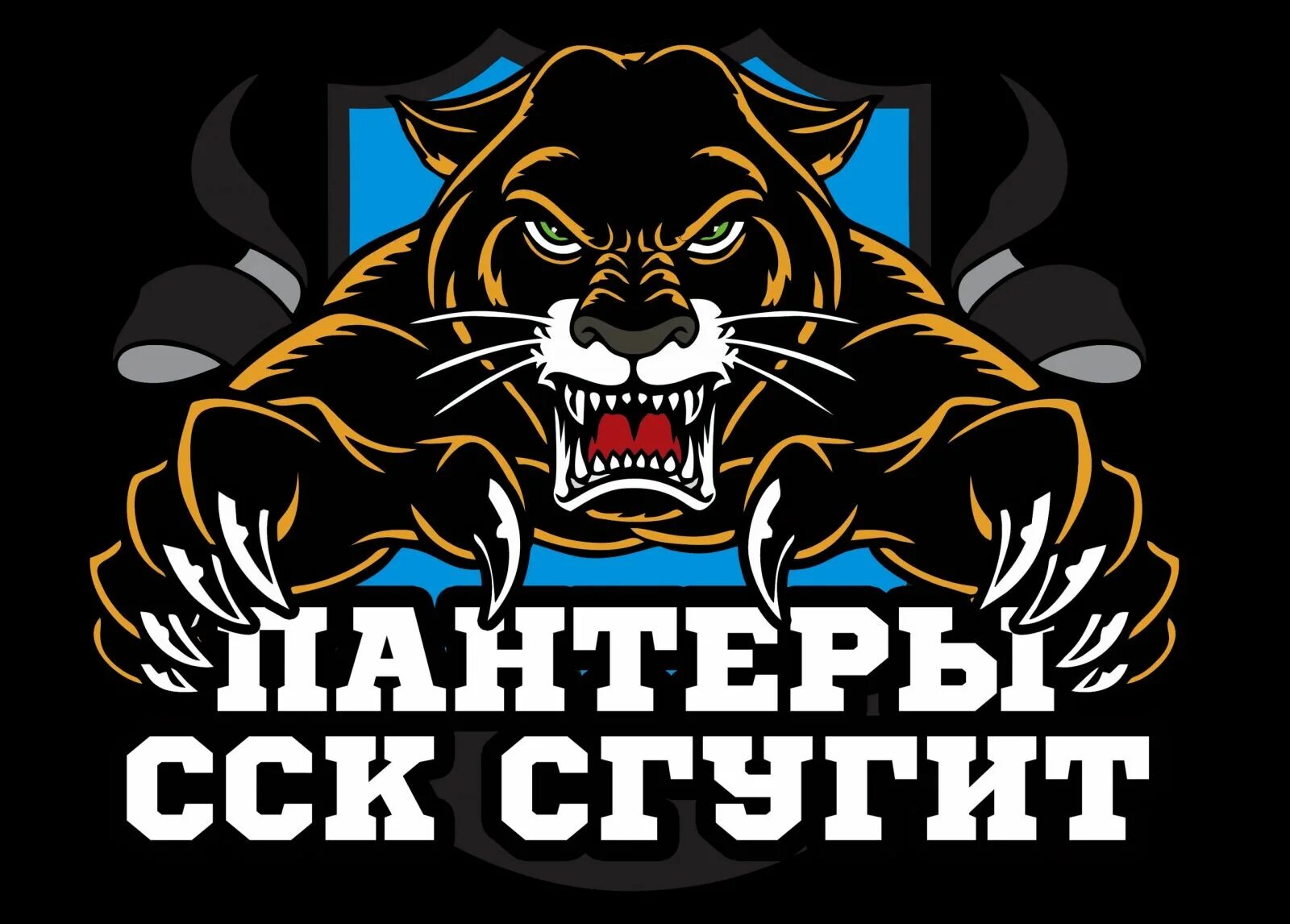 Девиз пантер. Пантера команда. пантера ростов. девиз для команды пантеры. сибирская пантера.
