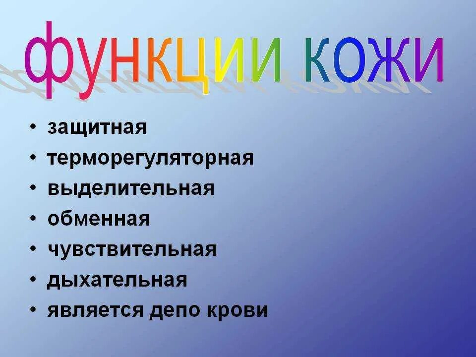 Какие функции выполняет образование кожи. Функции кожи. Функции кожи человека. Перечислите функции кожи. Перечислите основные функции кожи.