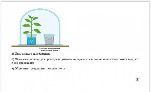 Как в данном эксперименте можно