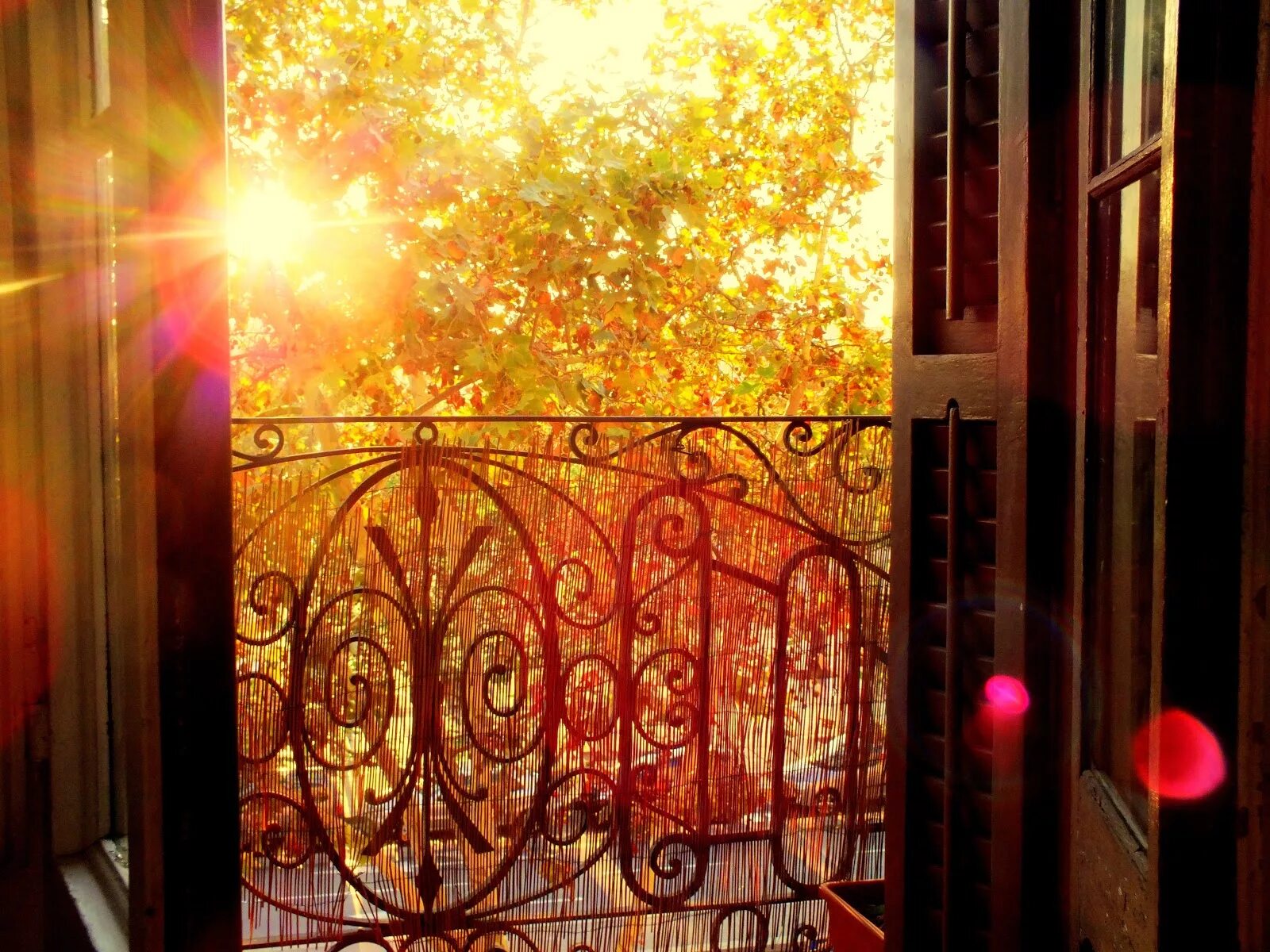 Открытая дверь в осень. Осеннее окно. Вид из окна осень. Осень за окном.
